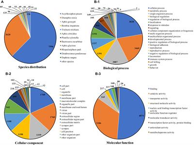 The PacBio Full-Length Transcriptome of the Tea Aphid as a Reference Resource